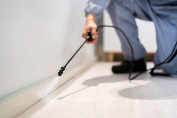 Licensed Termite Control service in Forrest County County, MS - Nex Pest Control