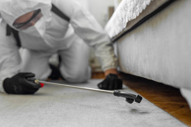 Professional Termite Control technician working in Forrest County County, MS